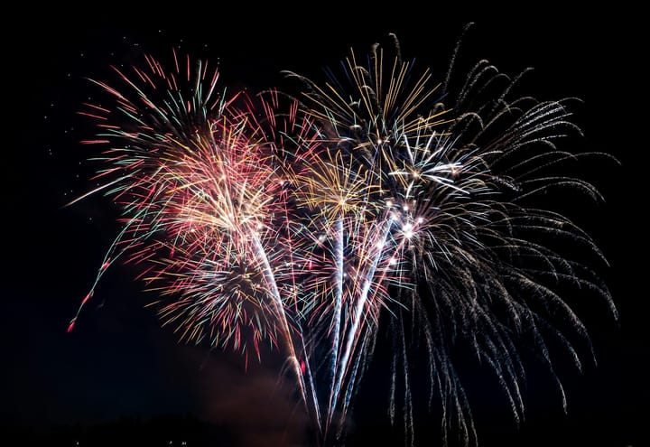 The Boom and the Whimper: Fireworks, Pets, and the Fourth of July Debate